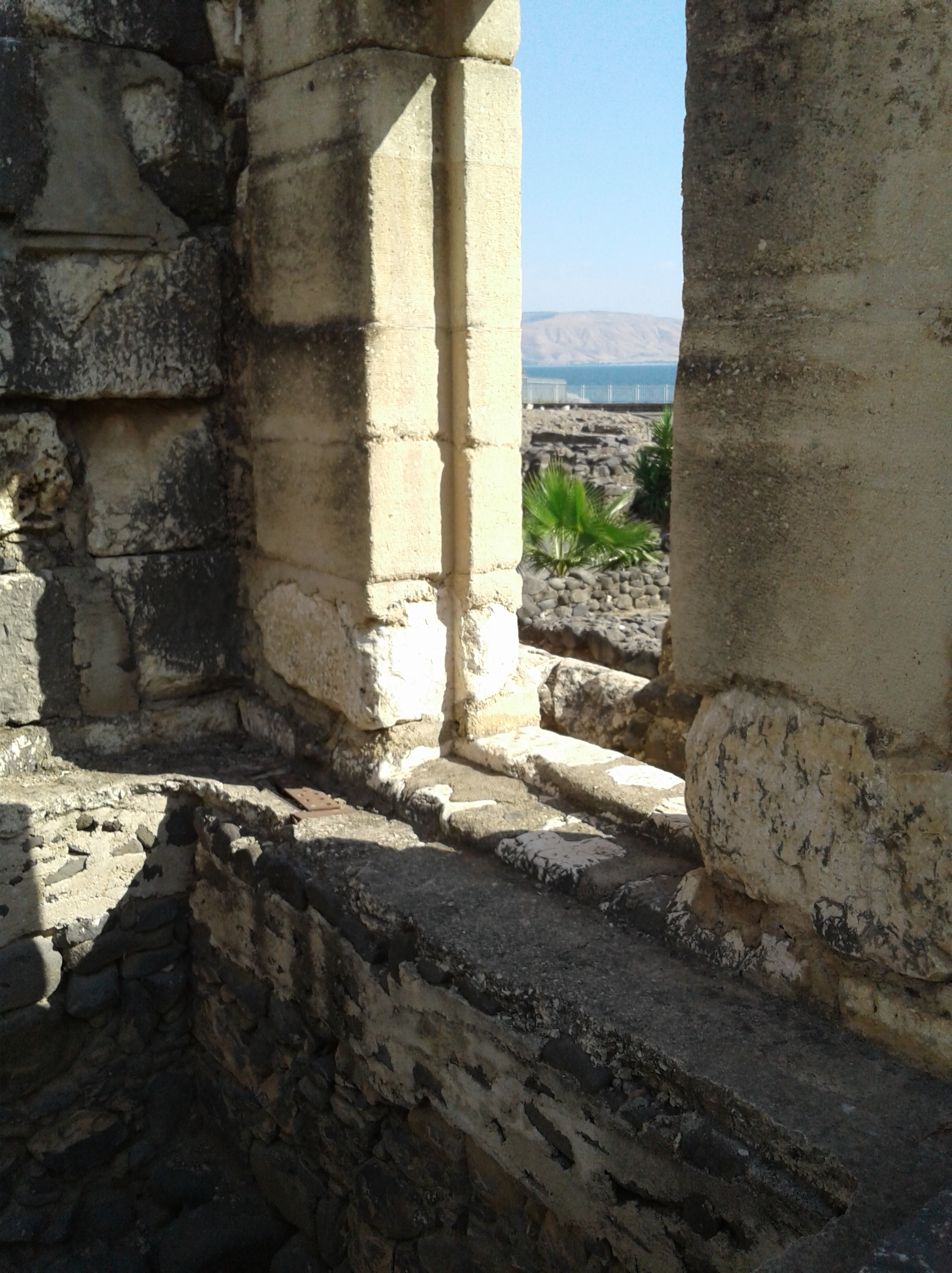capernaum view out synagogue window