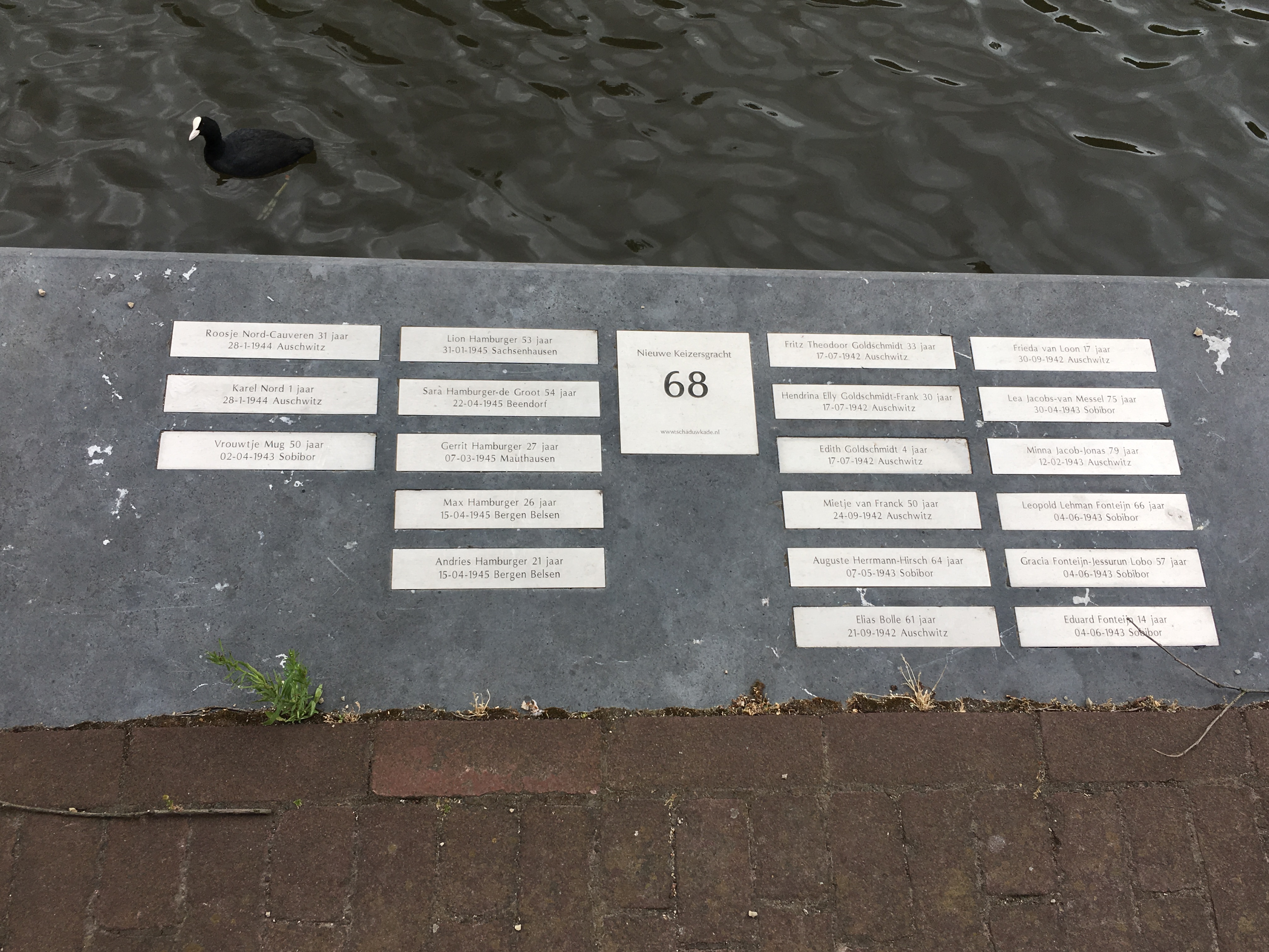 amsterdam canal of shadows