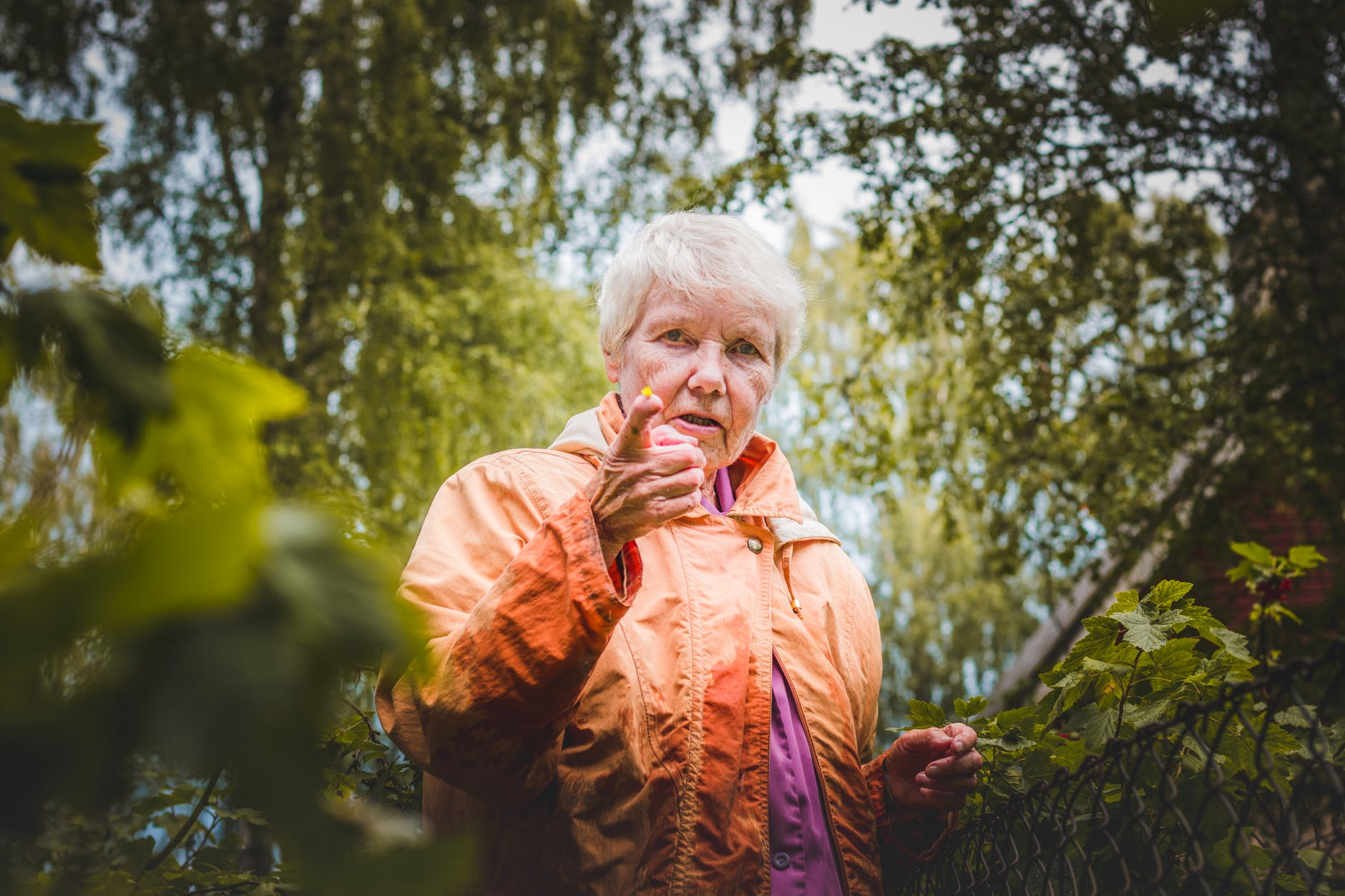 shallow focus photo of woman near plants